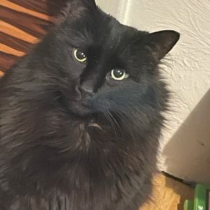 Meet your Posher, April